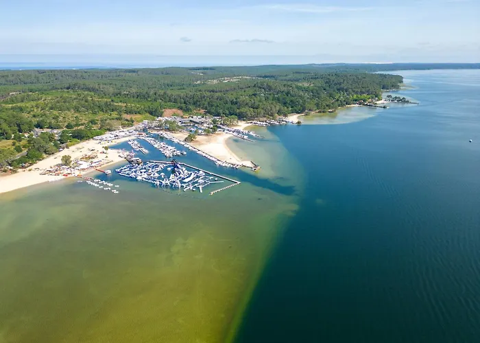 Appartement - T1 Bis En Bord De - Menage Inclus - Fr-1-319-185 Biscarrosse-Plage