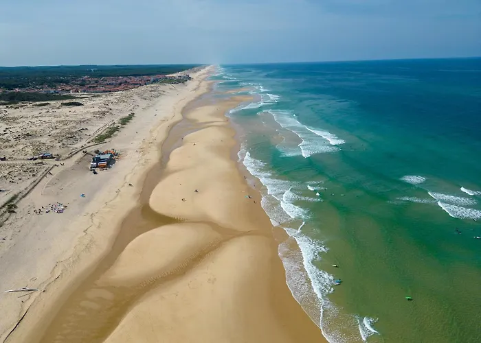 - T1 Bis En Bord De - Menage Inclus - Fr-1-319-185 * Biscarrosse-Plage