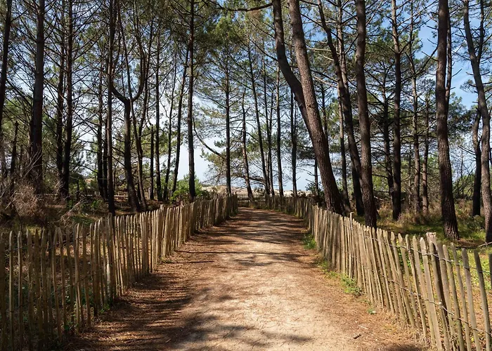 - T1 Bis En Bord De - Menage Inclus - Fr-1-319-185 Appartement *