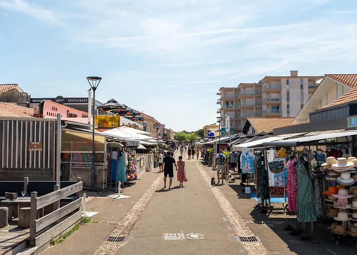 Appartement - T1 Bis En Bord De - Menage Inclus - Fr-1-319-185 Biscarrosse-Plage