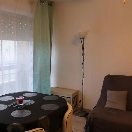 Apartment - T1 Bis En Bord De - Menage Inclus - Fr-1-319-185 Biscarrosse-Plage